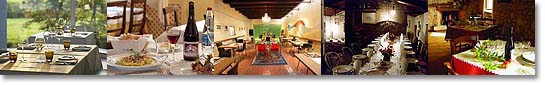 Restaurants & Gastronomy